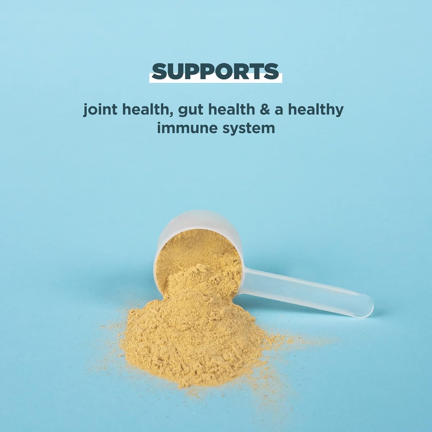 Ancient Nutrition Grass Fed, Bone Broth Protein Powder, 20g Protein