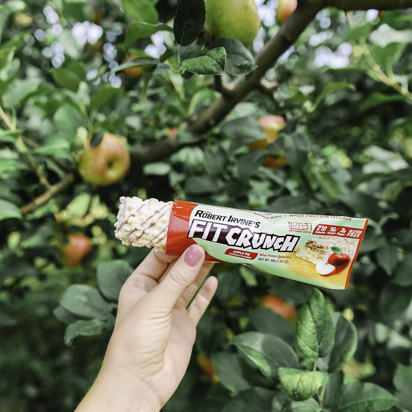 FITCRUNCH Protein Bars, 6-Layer Baked Bar, 3g of Sugar, Gluten Free & Soft Cake Core (9 Count)